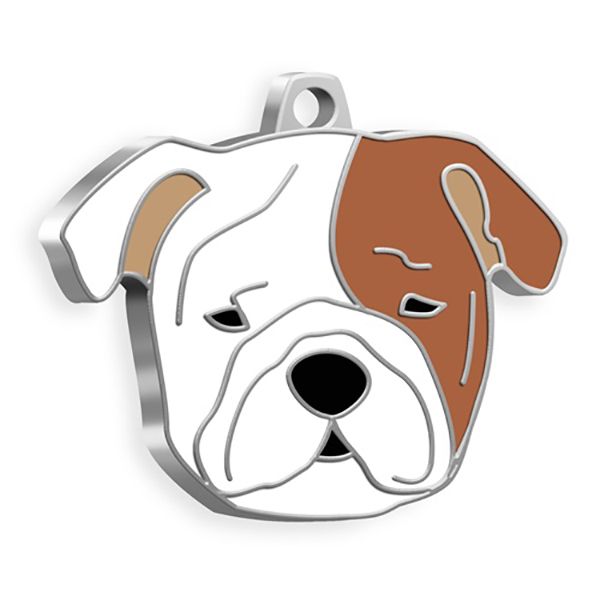bulldog-kopek-kunyesi-163-500x500-1