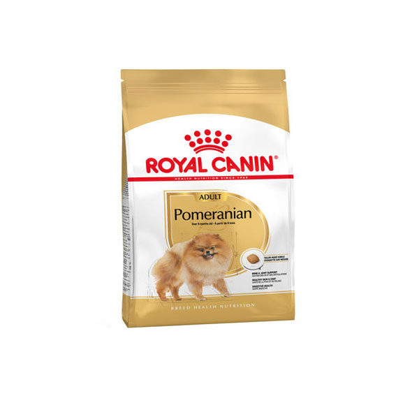 pomeranian